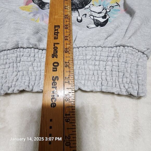 Alice In Wonderland Sweatshirt Size M Gray Pull Over Long Sleeves Graphic Disney - Picture 7 of 8